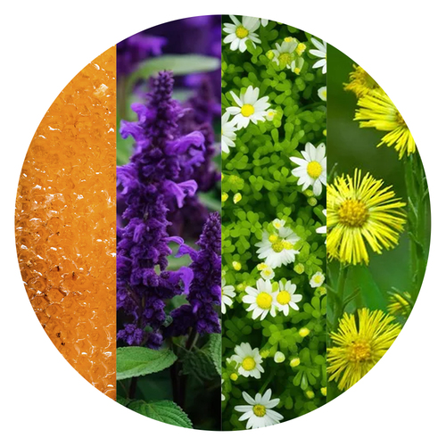 Медовые леденцы "ТВЁРДЫЙ МЁД" Алтайский сбор