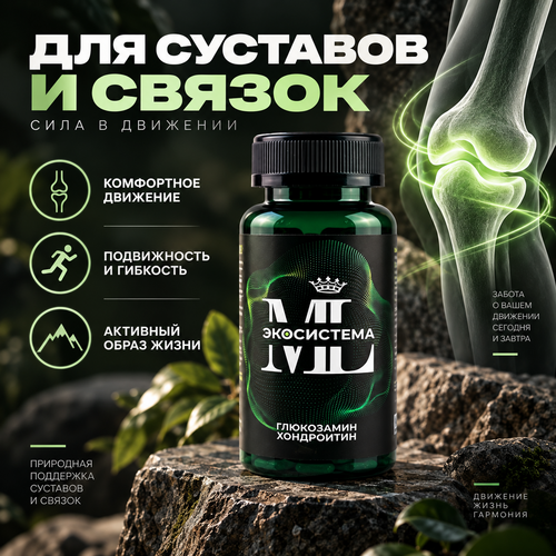 Глюкозамин + Хондроитин